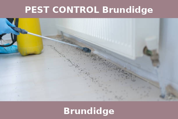 PEST CONTROL Brundidge
